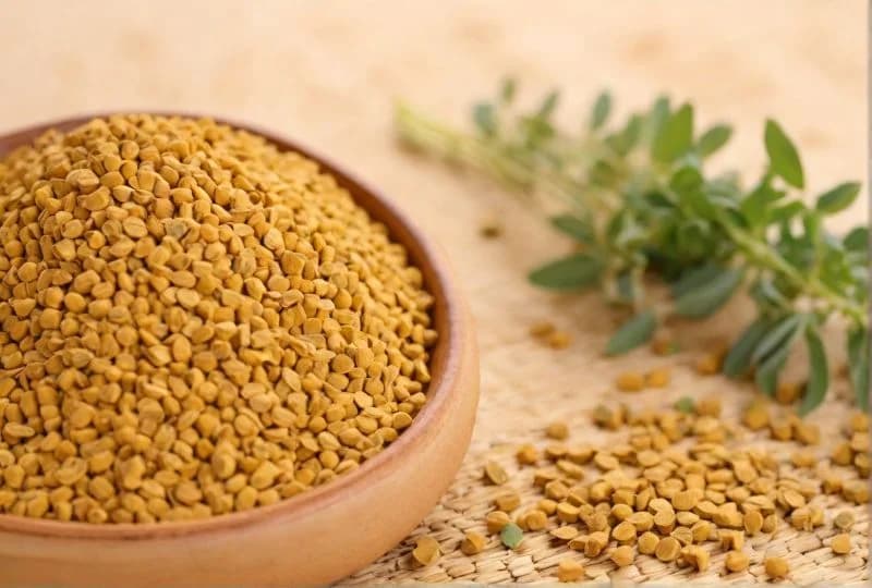Fenugreek Seed Extract in a laboratory jar