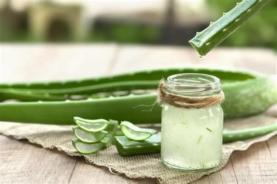 Aloe Vera Extract in a laboratory jar