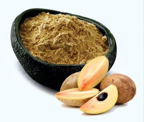 Sapodilla Extract in a laboratory jar